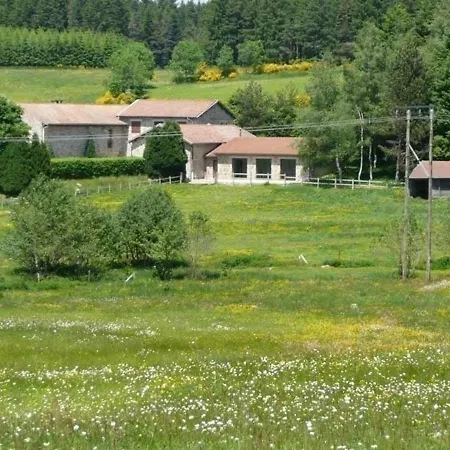 Evasion Paisible En Pleine Nature Avec Chevaux De Concours A - Fr-1-582-432